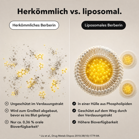 Liposomal Berberine Extract