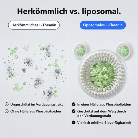 Liposomal L‑Theanine