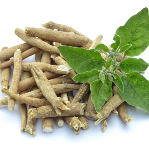Liposomales Ashwagandha (Kapseln)