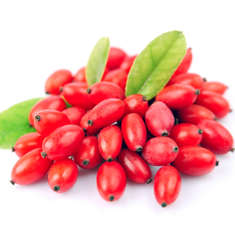Liposomaler Berberin Extrakt