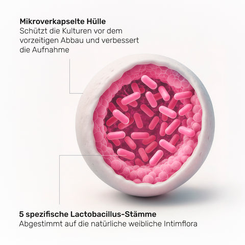 Intima Microencapsulated Probiotics