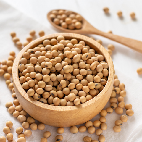 Nattokinase 2000 FU